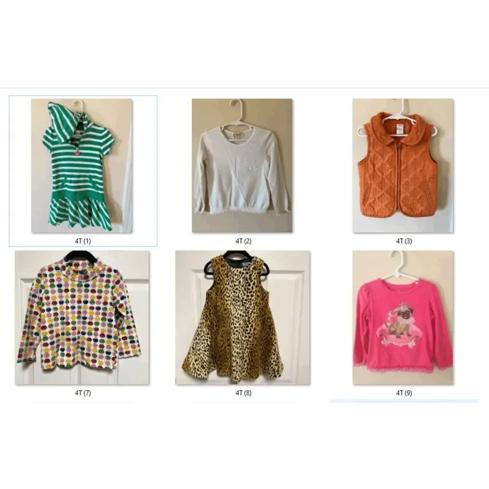 Toddler Girl Fall Winter 4T Mystery Bundle